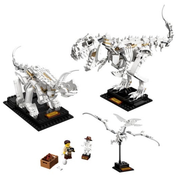 Lego Ideas Dinosaur Fossils (21320) - Picture 2 of 2